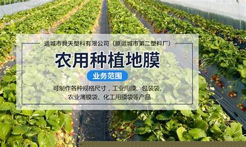 专业菠菜导航官网(228118菠菜导航网2019) (2)