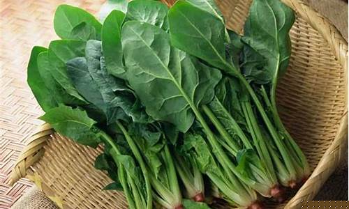 最新免费菠菜论坛：线上菠菜 (4)