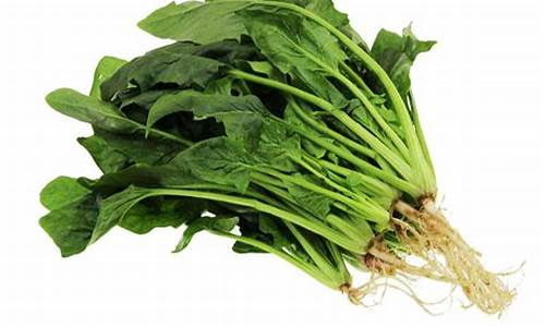 菠菜排名网：菠菜注册(菠菜注册绑卡送30)