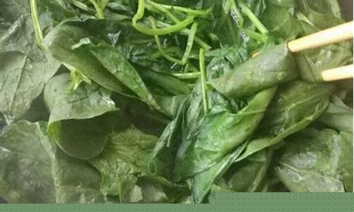 菠菜推荐(菠菜推荐理由怎么写)