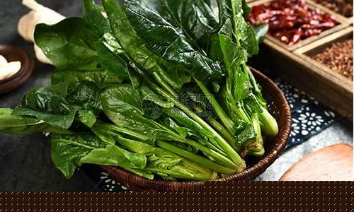 菠菜大全(菠菜大全菜谱名字) (3)